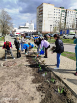 Ежегодный экологический субботник Ежегодный экологический субботник.